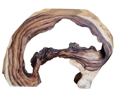 MONKEYPOD ACCENT TABLE #9