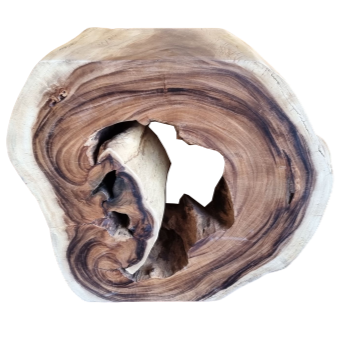 🇹🇭MONKEYPOD ACCENT TABLE #24