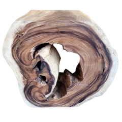 🇹🇭MONKEYPOD ACCENT TABLE #24