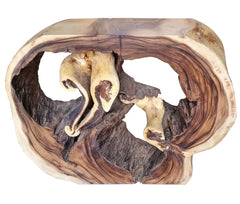 🇹🇭MONKEYPOD ACCENT TABLE #66