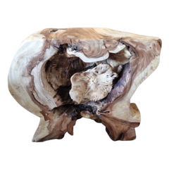 🇹🇭MONKEYPOD ACCENT TABLE #4