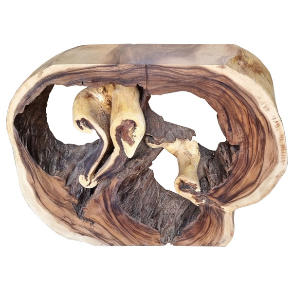 🇹🇭MONKEYPOD ACCENT TABLE #66