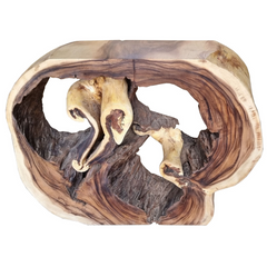 🇹🇭MONKEYPOD ACCENT TABLE #66