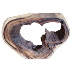 🇹🇭MONKEYPOD ACCENT TABLE #78